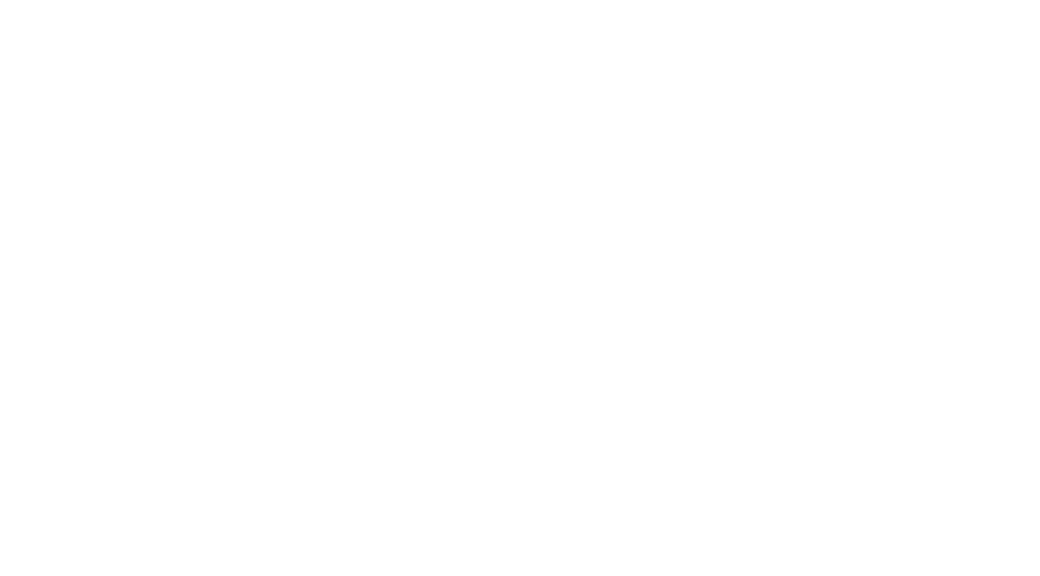 FMR Blog Voyage