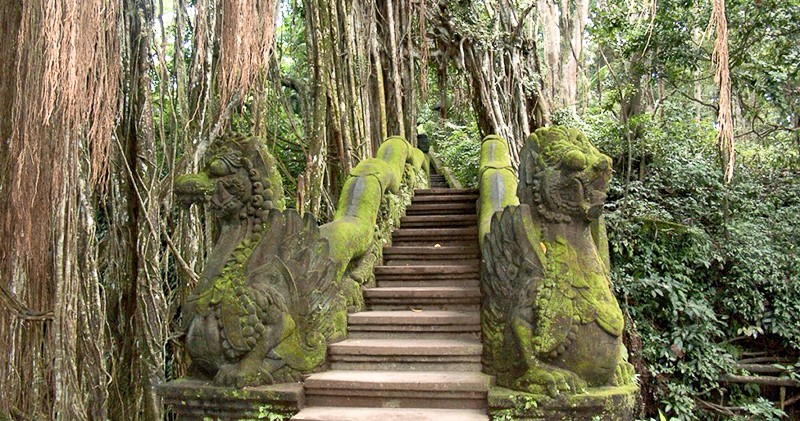 Visiter Ubud le paradis tropical de Bali  FMR Blog Voyage